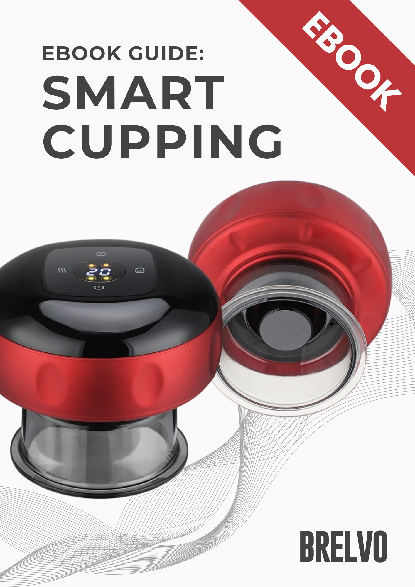 Recovery Guide EBOOK